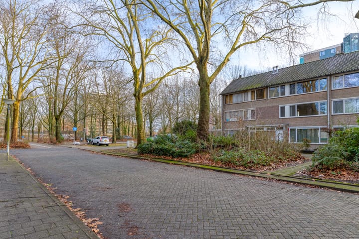 Foto 50 van Hulstbosakker 3