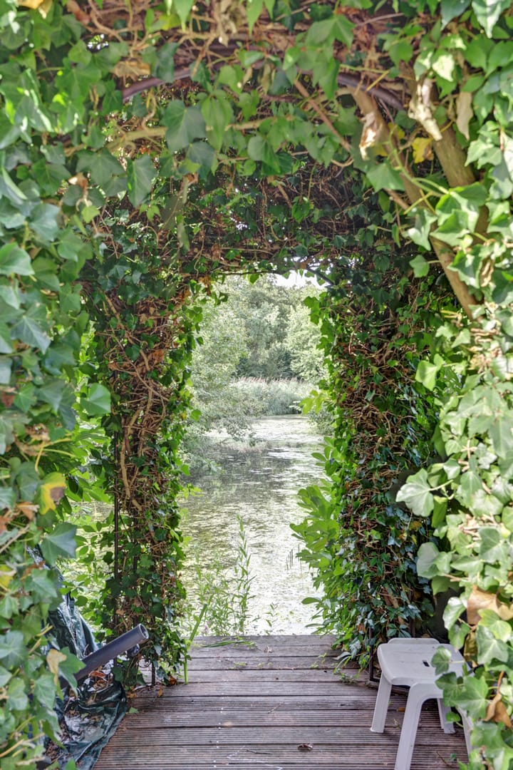 Foto 27 van Ridderspoorhof 10