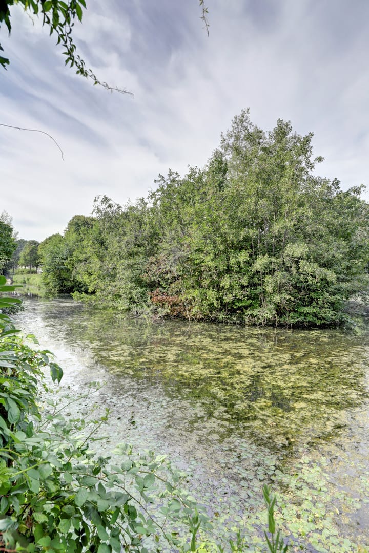 Foto 28 van Ridderspoorhof 10