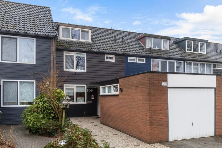 Houtsnijdershorst 509 main image