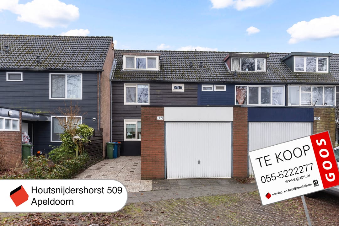 Foto 41 van Houtsnijdershorst 509