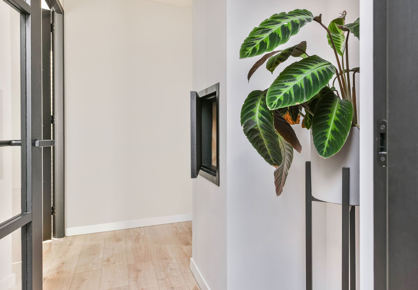 Foto 35 van Nijmegenstraat 2