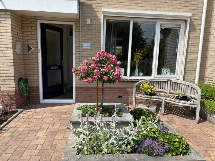 Foto 3 van het Hobers 4