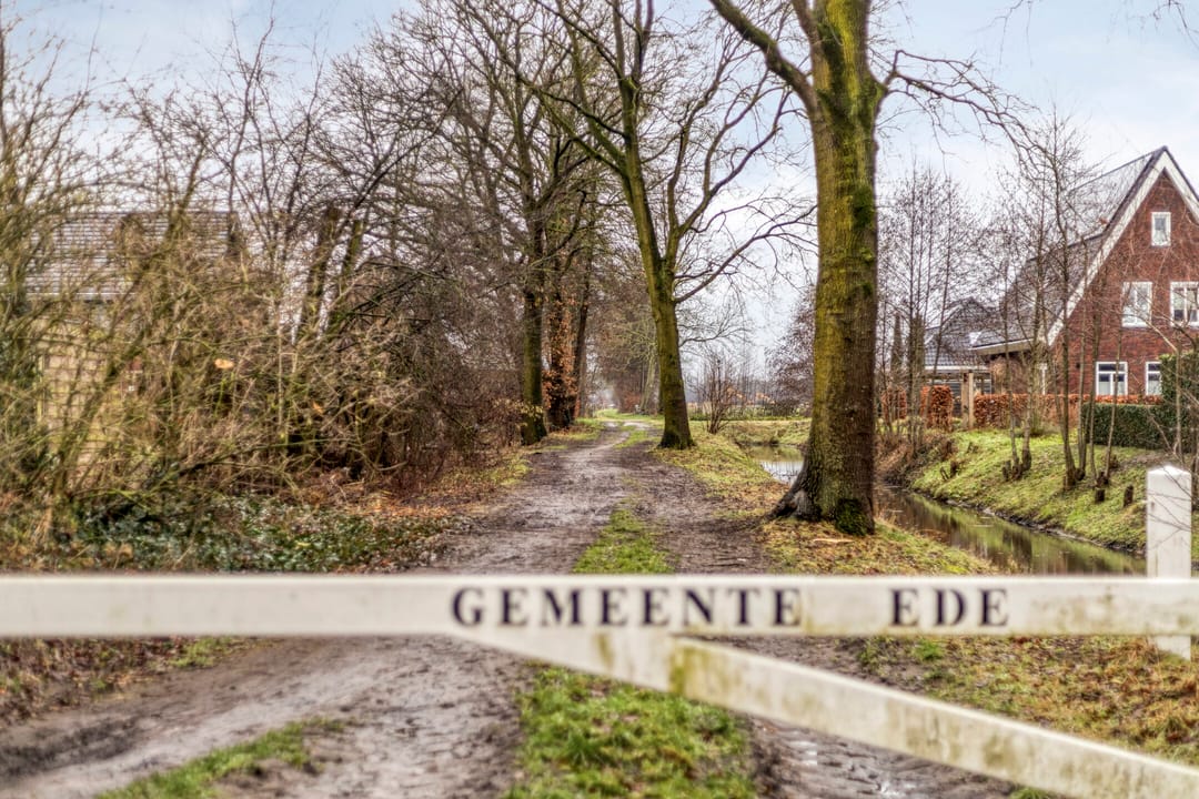 Foto 38 van Schoolstraat 37