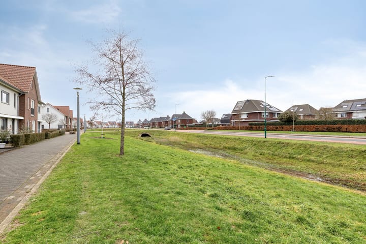 Foto 11 van Dijkskruin 5