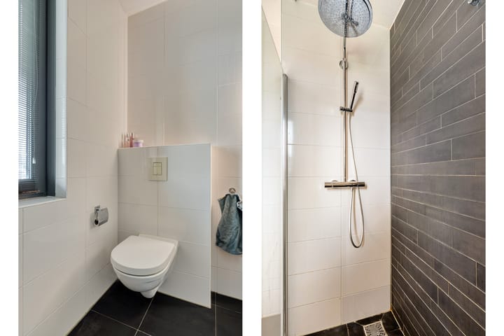 Foto 33 van Dijkskruin 5