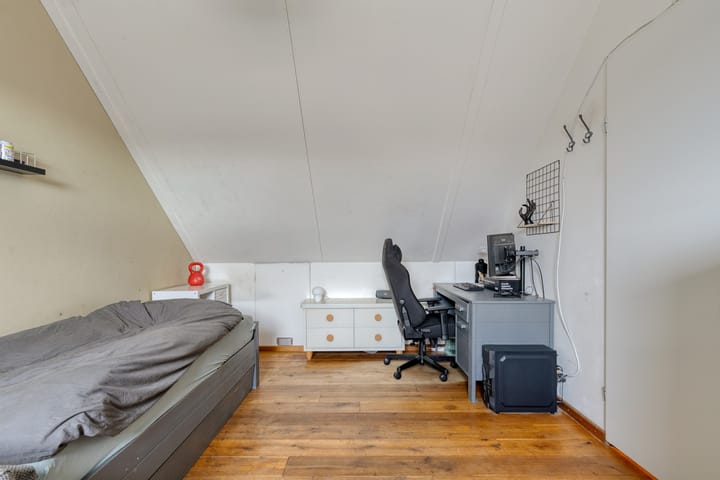 Foto 38 van Dijkskruin 5