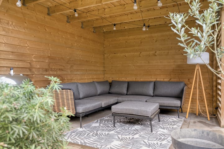 Foto 46 van Dijkskruin 5