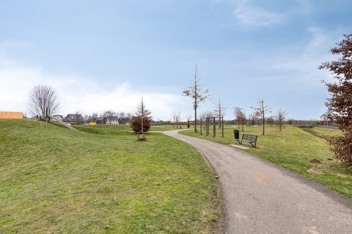 Foto 49 van Dijkskruin 5