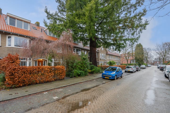 Foto 65 van Boerhaavelaan 20