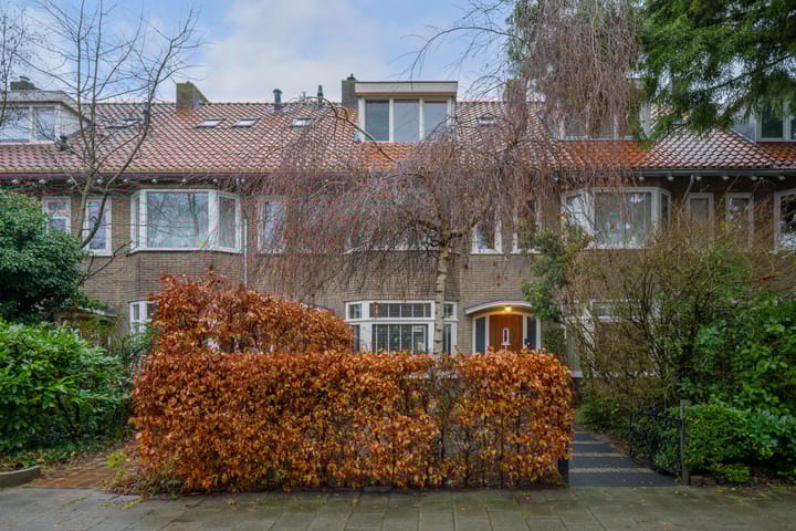 Foto 67 van Boerhaavelaan 20