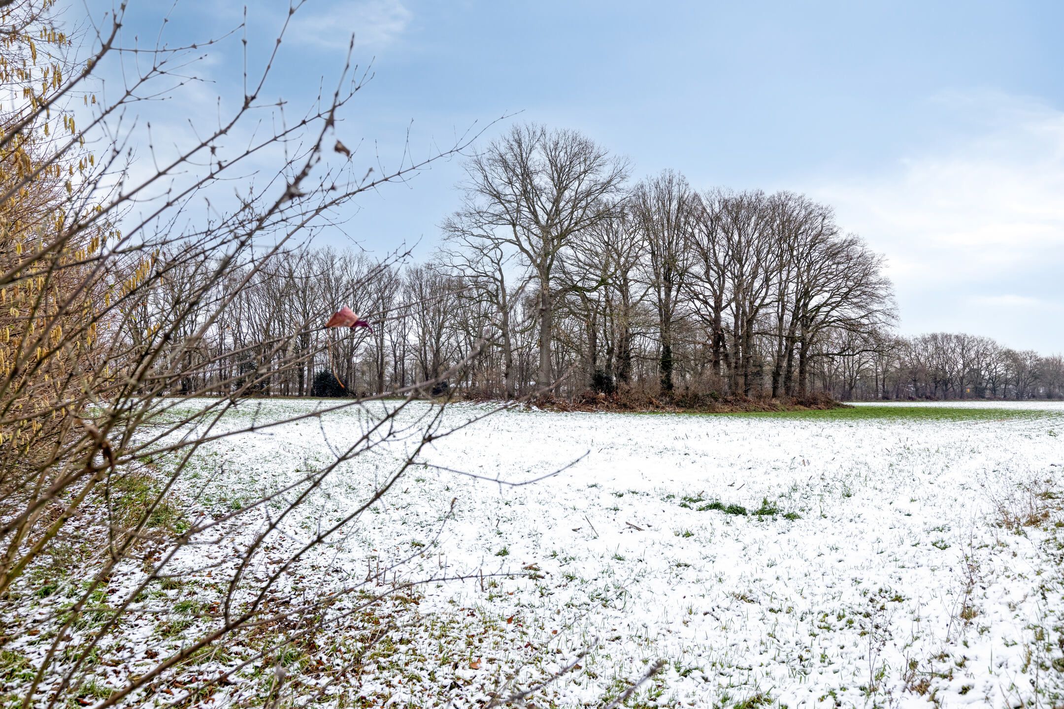 Foto 45 van Eelserstraat 17