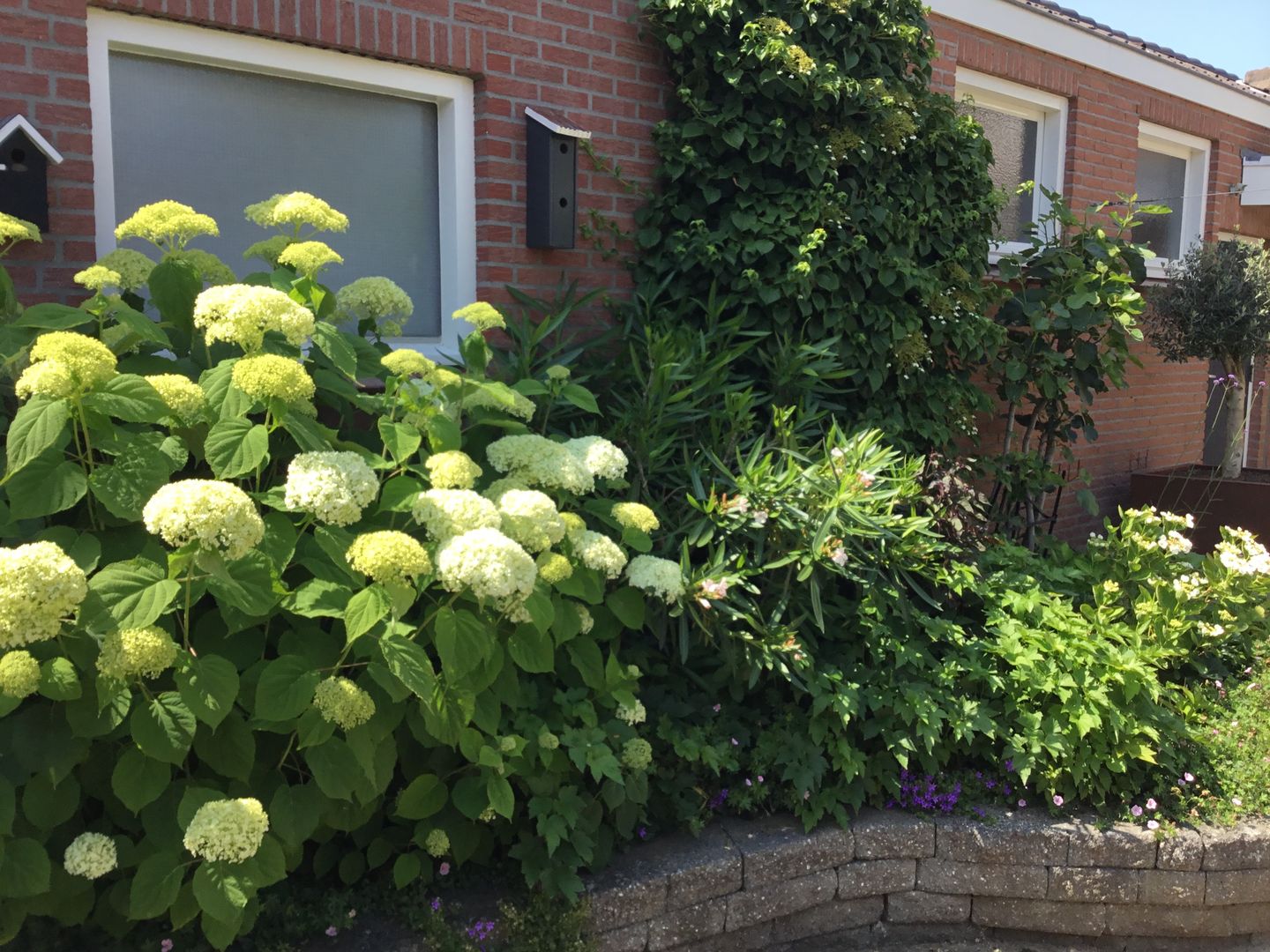 Foto 29 van Iepenlaan 11