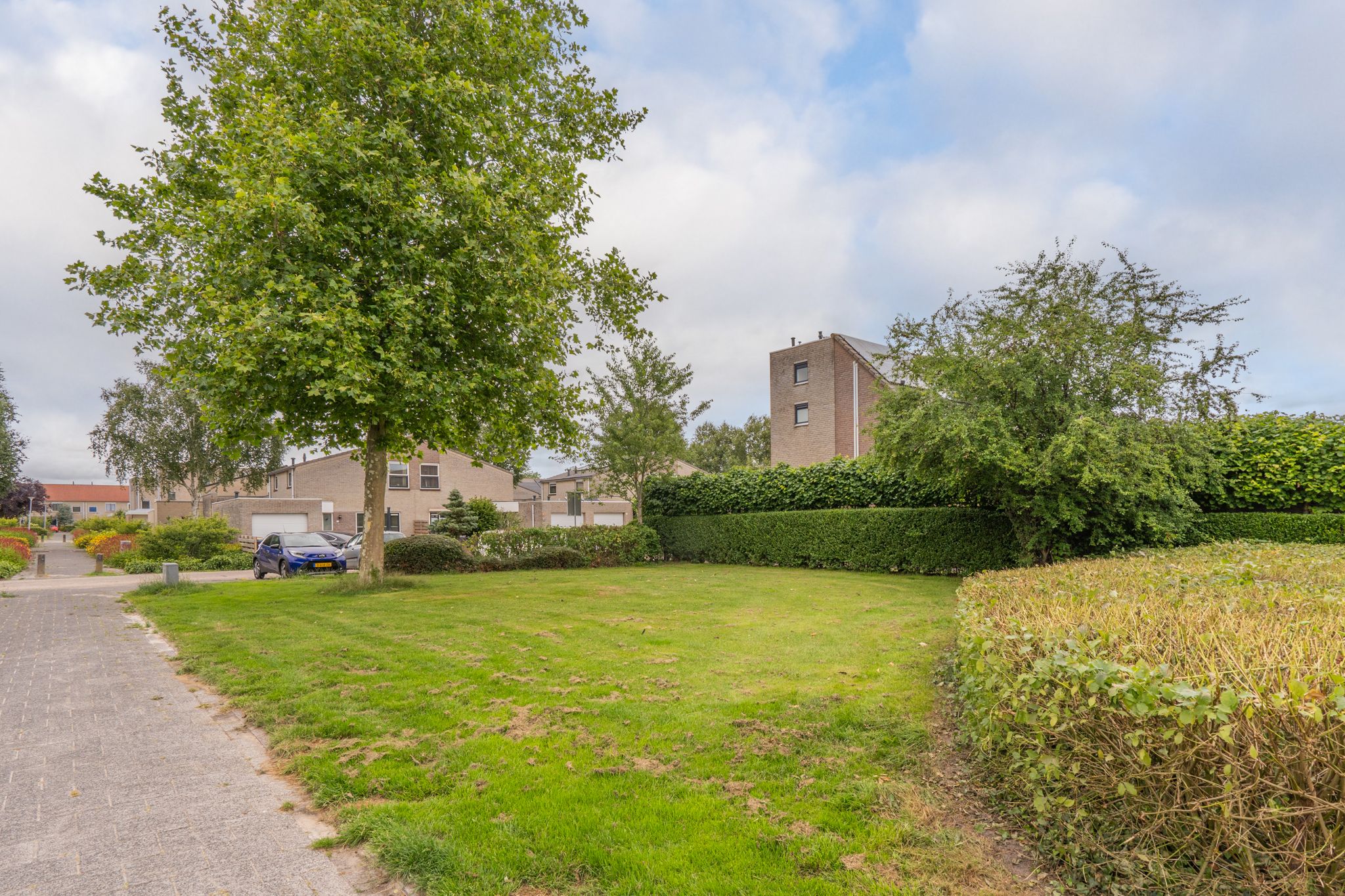 Foto 60 van Marterslag 19