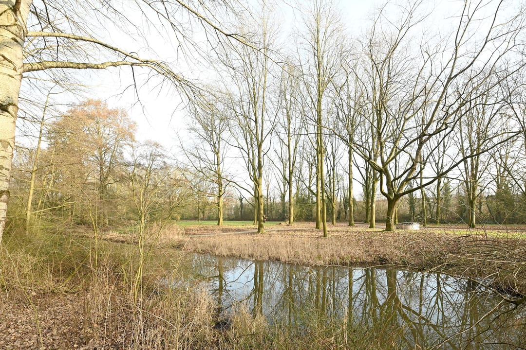 Foto 28 van Trekvogelweg 9