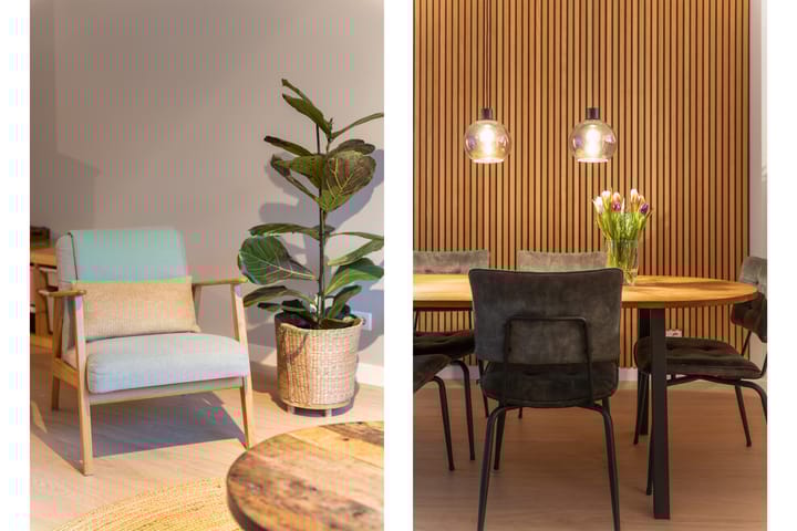 Foto 12 van Dokter Rietveldplein 51