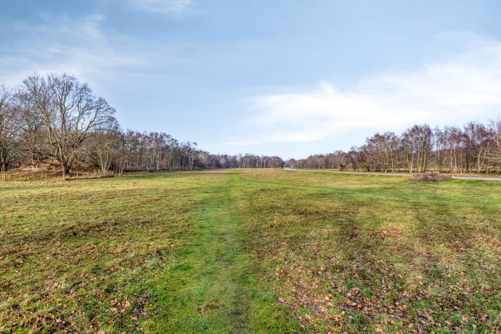 Foto 37 van Westerenban 54