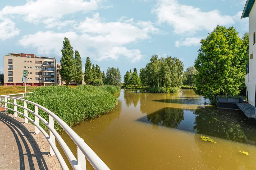 Photo 26 of Schout van Raesfeltstraat 51