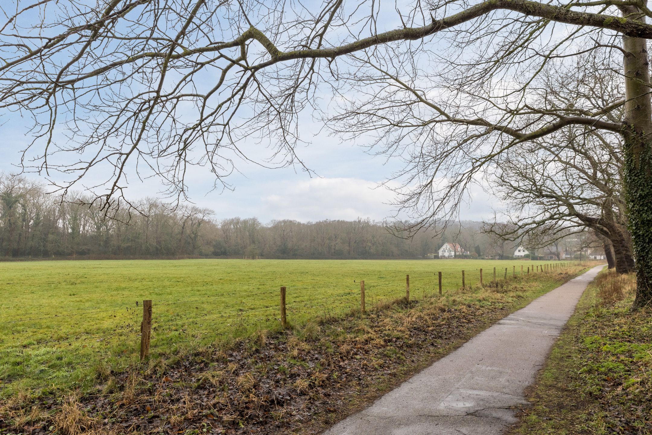 Foto 36 van Lindenlaan 2