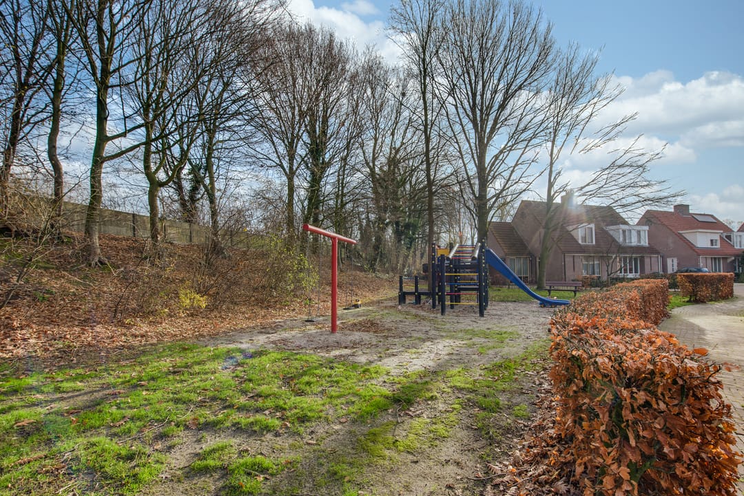 Foto 38 van Lijsterboog 39