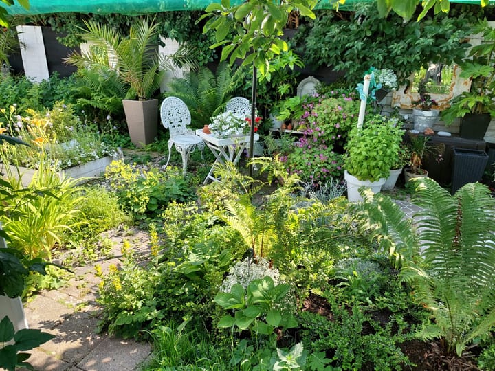 Foto 67 van Rijksweg 43-A