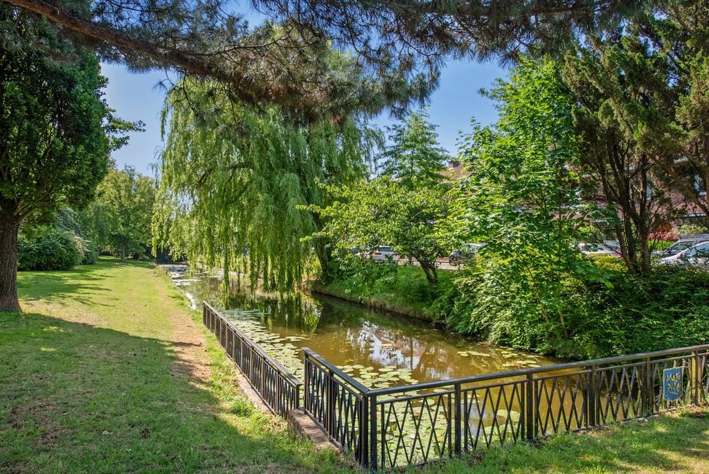 Foto 32 van Sparrelaan 8