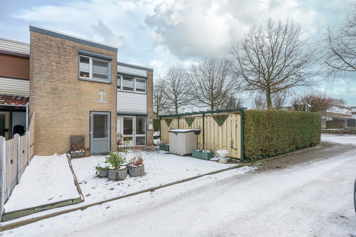 Boudewijn-Eik 53 main image