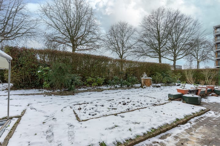 Foto 21 van Boudewijn-Eik 53