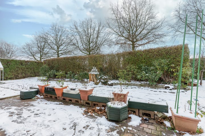 Foto 22 van Boudewijn-Eik 53