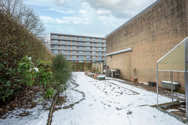 Foto 24 van Boudewijn-Eik 53