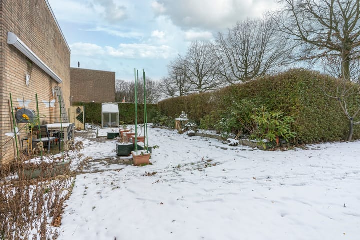 Foto 26 van Boudewijn-Eik 53