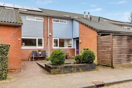 undefined main image