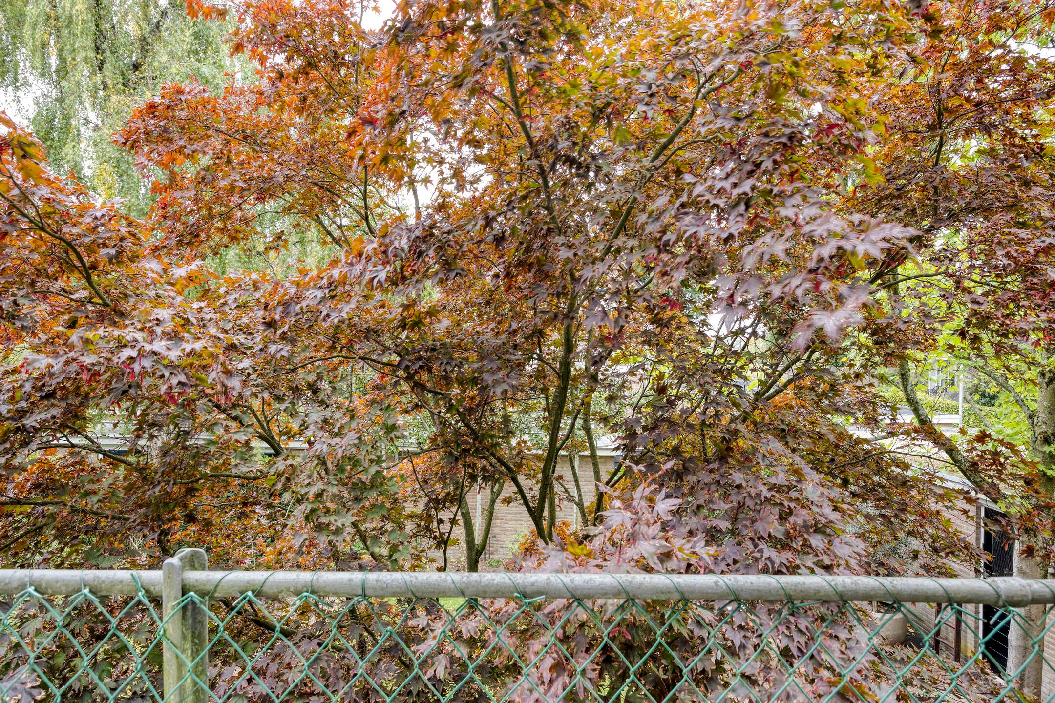 Foto 15 van Hertog Janstraat 1