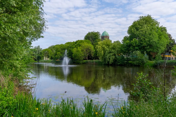 Foto 34 van Dommeringdreef 283