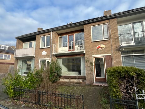 undefined main image