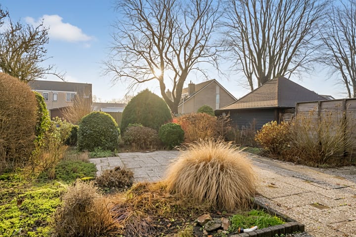 Foto 43 van Weegbree 4