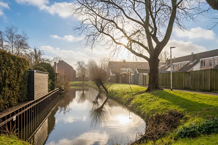 Foto 46 van Weegbree 4