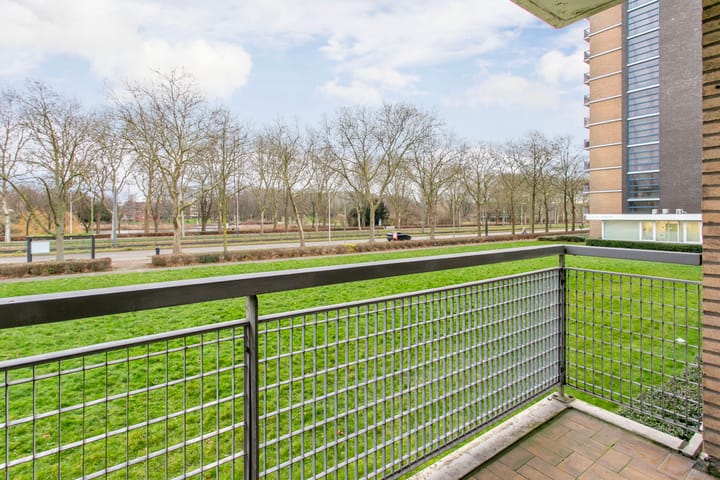 Photo 15 of Livingstonelaan 376