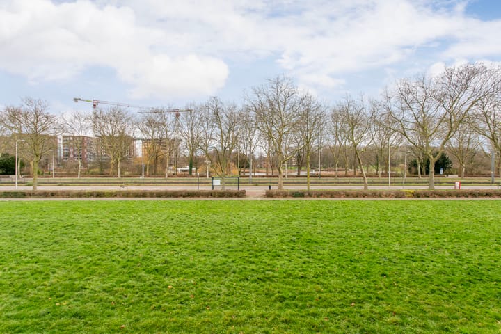 Photo 16 of Livingstonelaan 376