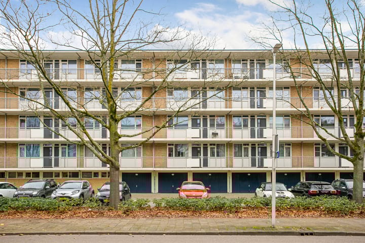 Photo 26 of Livingstonelaan 376