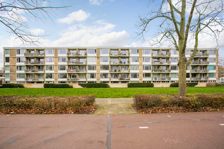 Photo 27 of Livingstonelaan 376