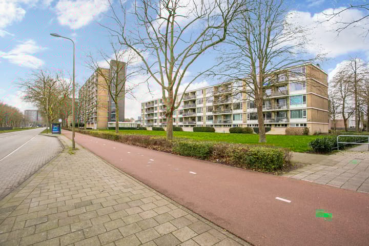 Photo 28 of Livingstonelaan 376