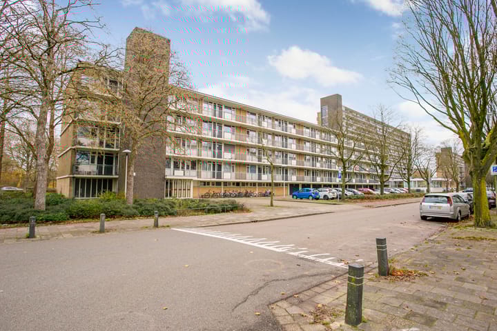 Photo 30 of Livingstonelaan 376