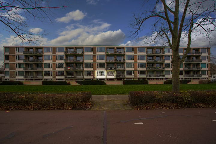 Photo 31 of Livingstonelaan 376