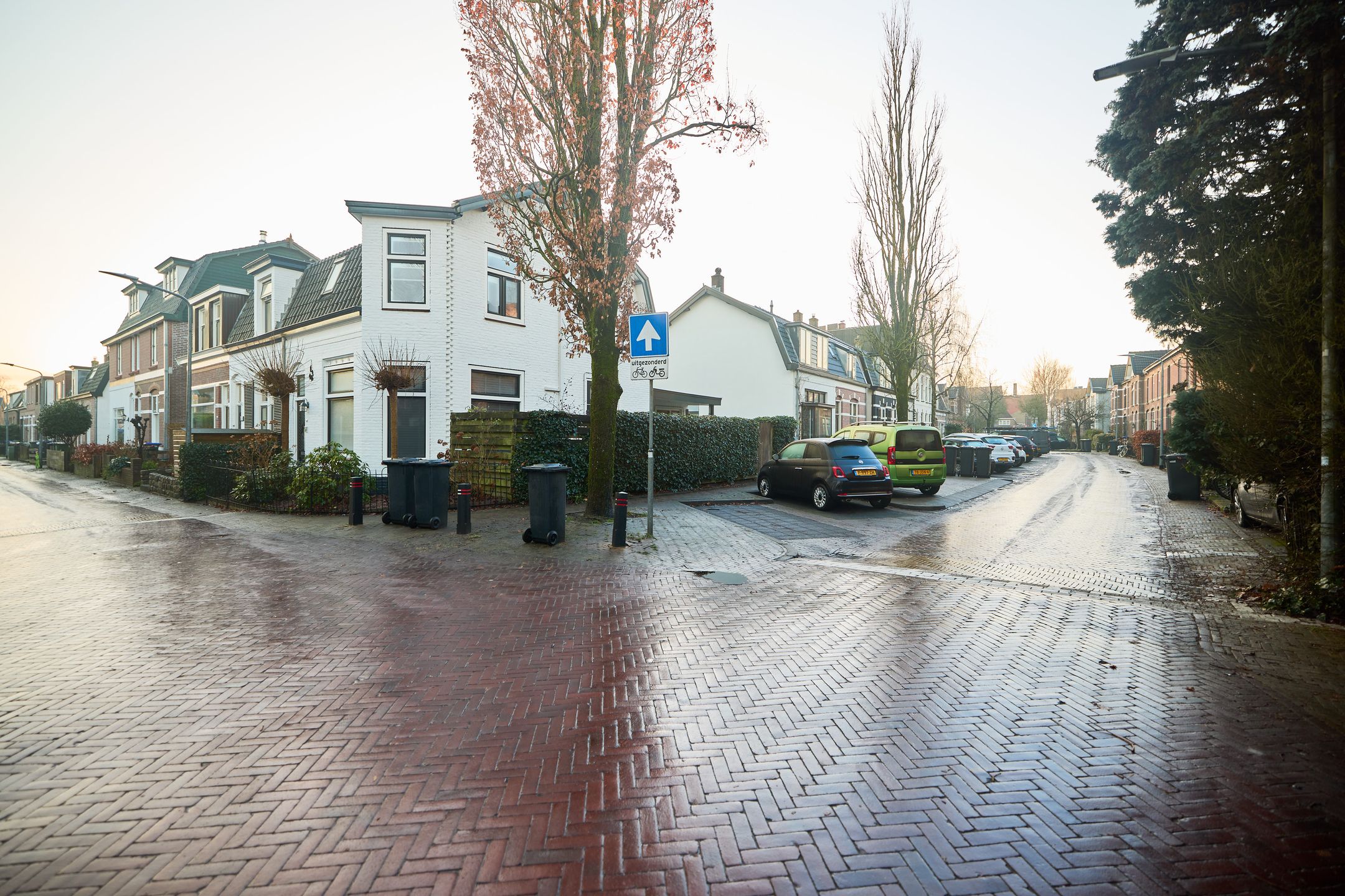 Foto 36 van Violenstraat 110