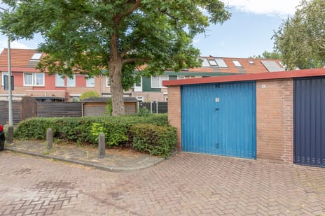 undefined main image