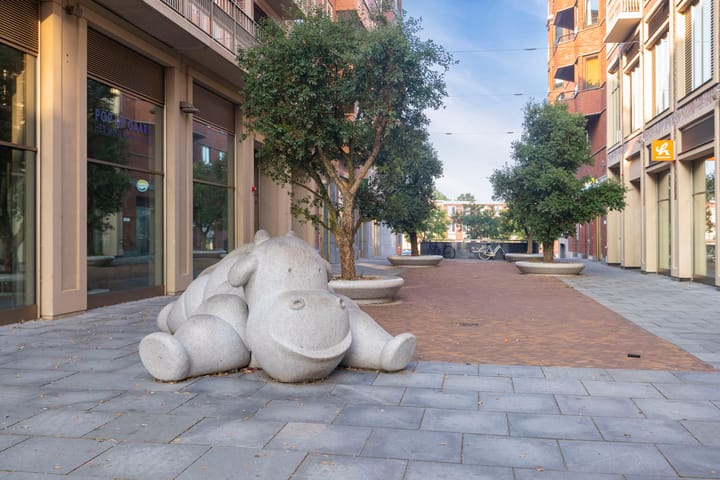 Foto 49 van Romestraat 2