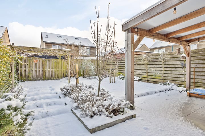 Foto 27 van Boomvalk 24