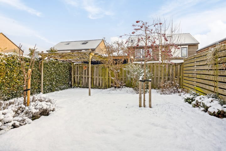 Foto 28 van Boomvalk 24