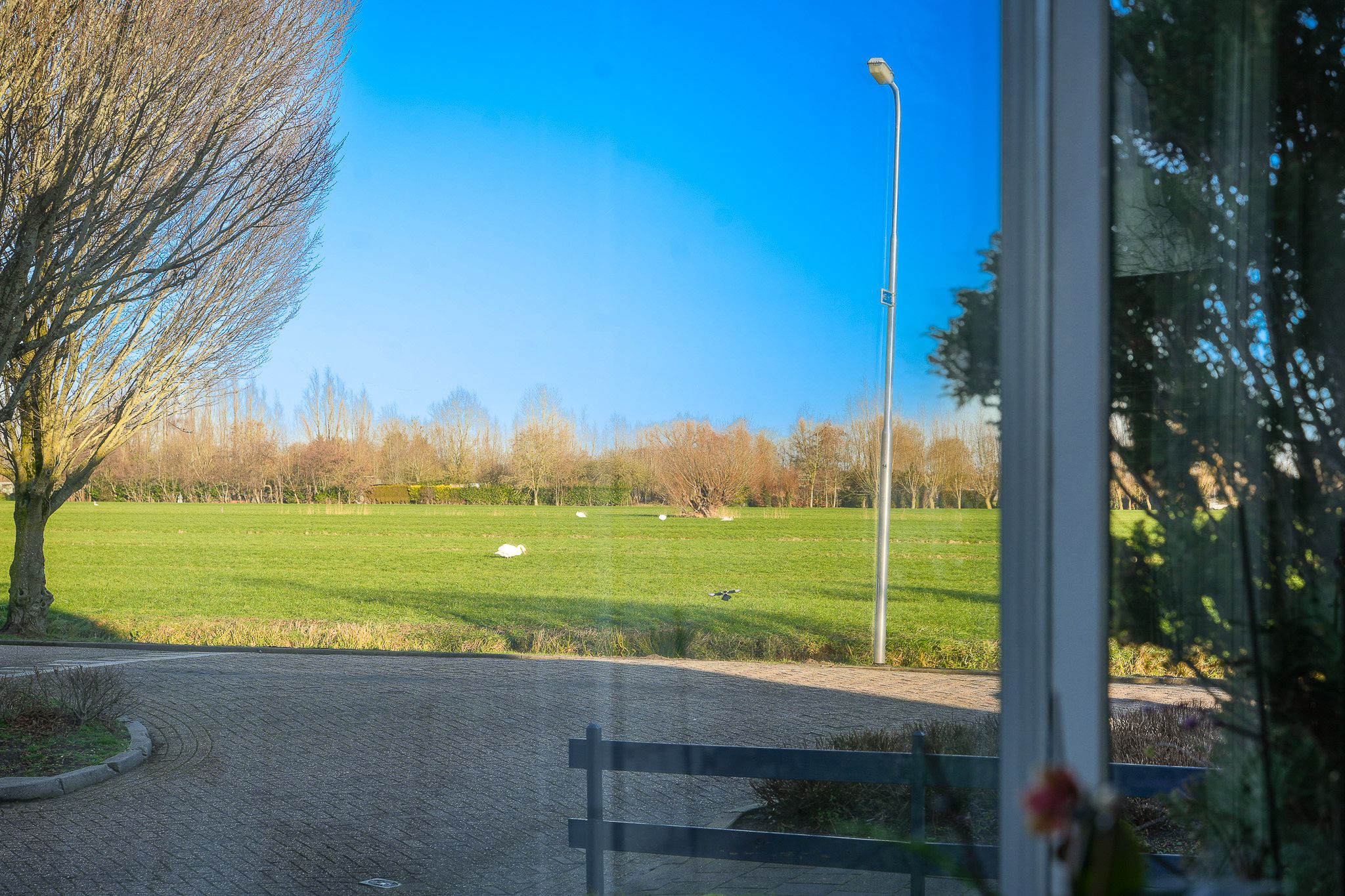 Photo 12 of Wouter van Langherakelaan 72